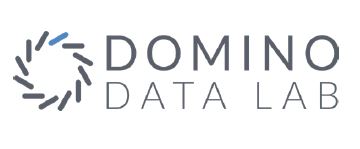 Domino Data Lab logo