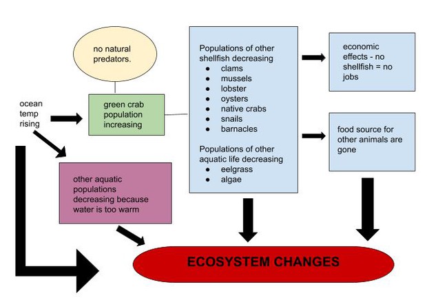 ecosystem changes