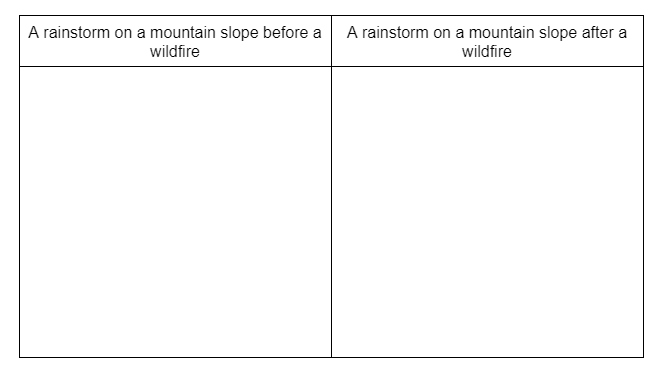 Model Template