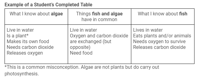 Example of a Student's Completed Table