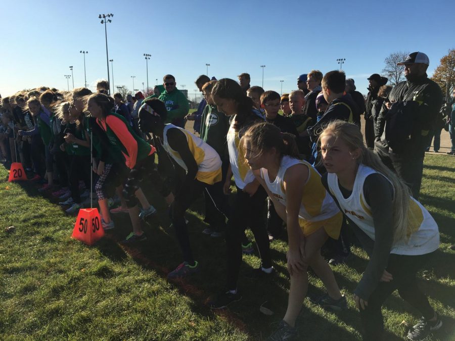 Cross country focuses on community, not competition