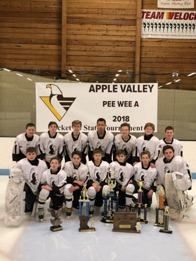 Picture from Apple Valley Youth Hockey website