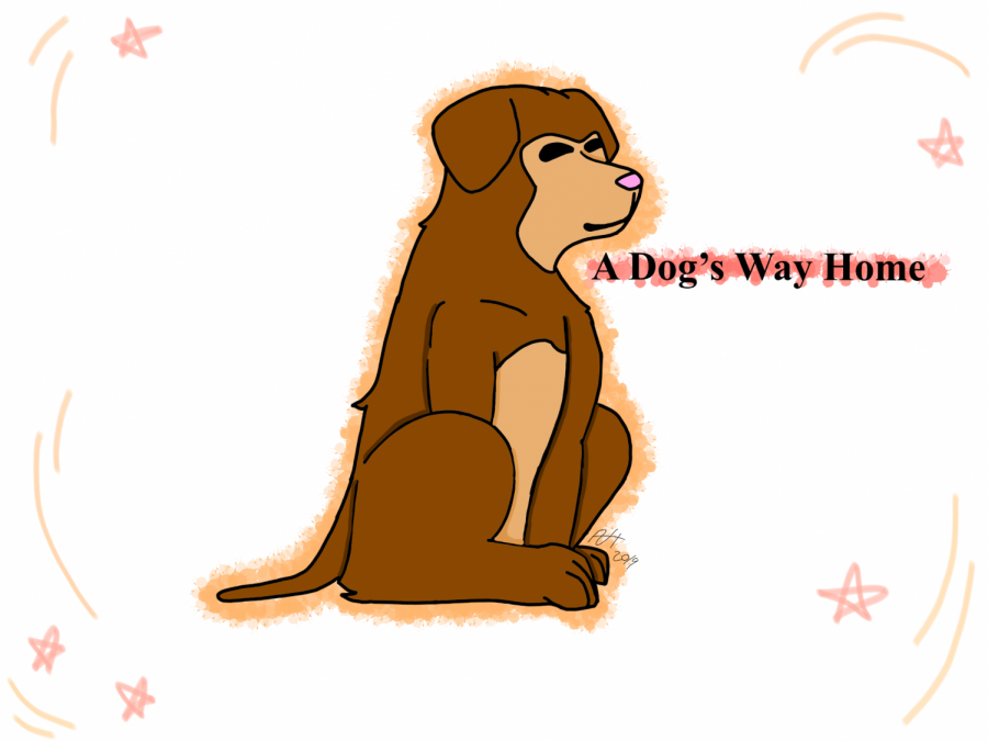 A Dogs Way Home: Book Review